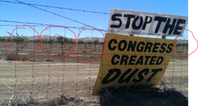 These signs are common along Highway 5 in California’s Central Valley, especially where junior water-rights holders have land that won’t get water during droughts. Ironically, this one is placed right in front of a newly planted almond orchard.
