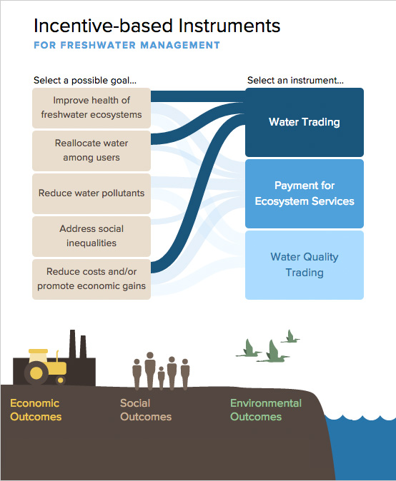 Water management essay