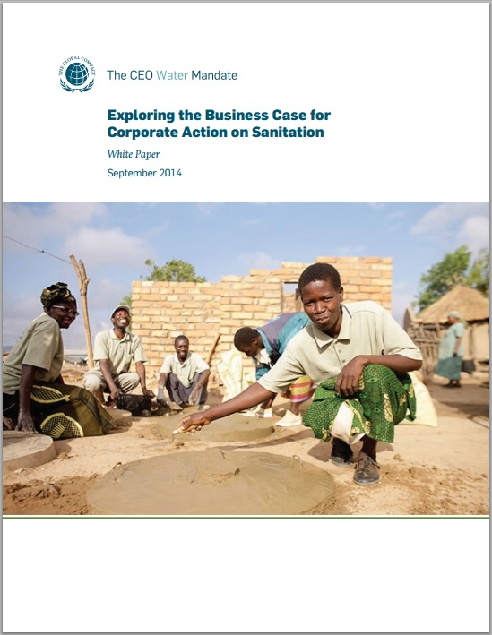Exploring the Business Case for Corporate Action on Sanitation ...