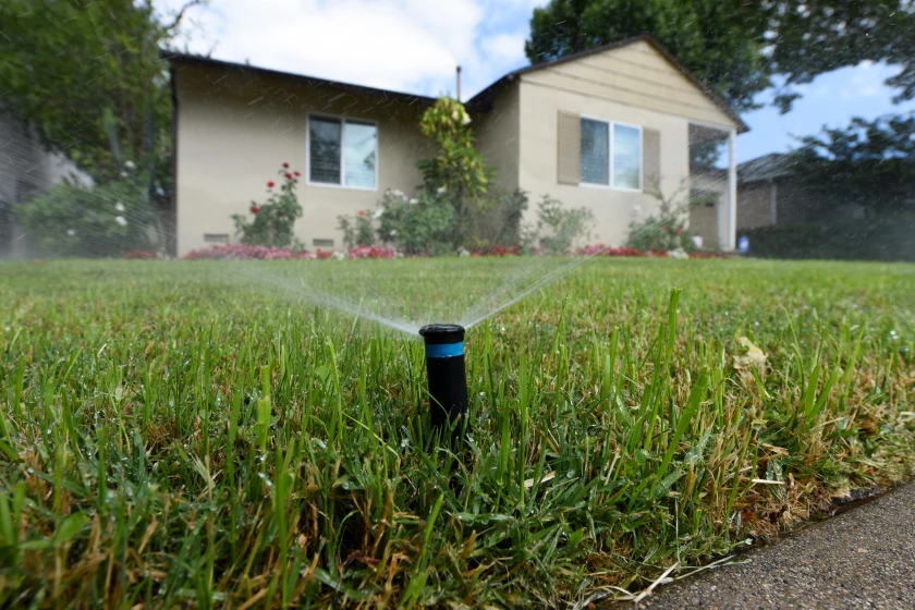 Close up of a sprinkler watering a lawn